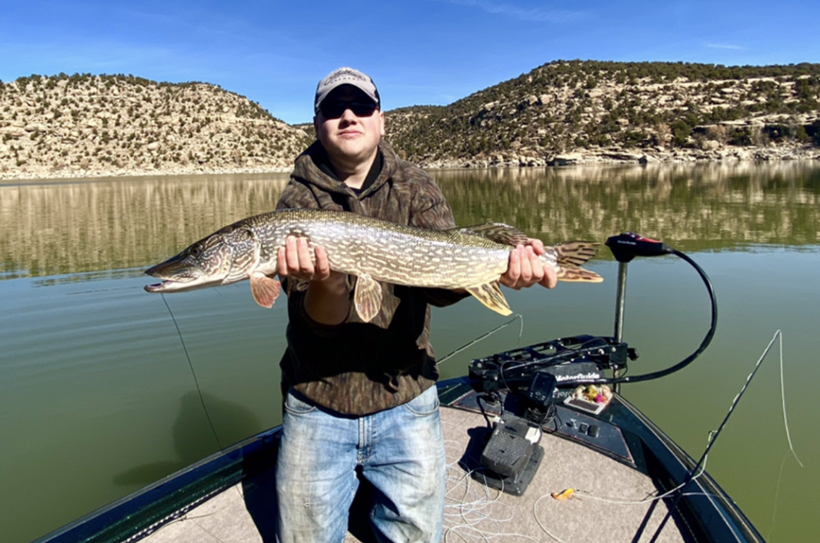 Northern Pike and/or Common Carp Fly Fishing